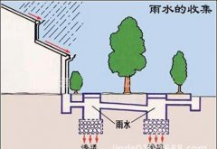 初期雨水收集為什么這么重要？